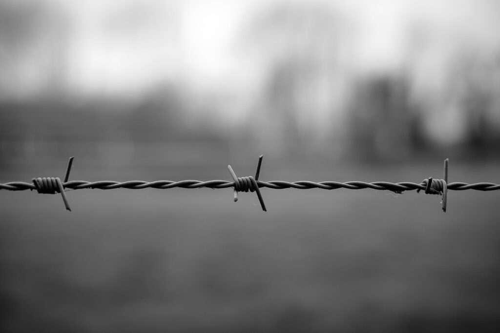 Minimalist barbed wire.
