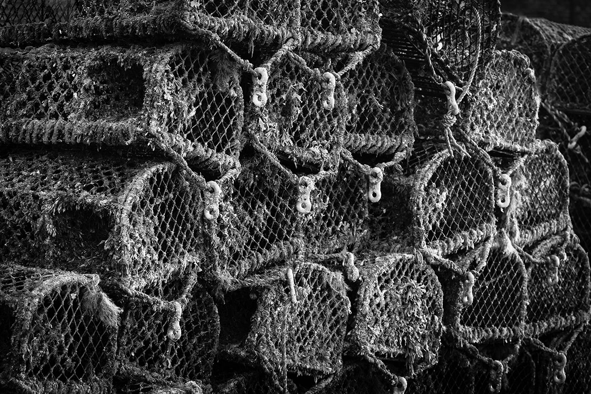 Crab pots.