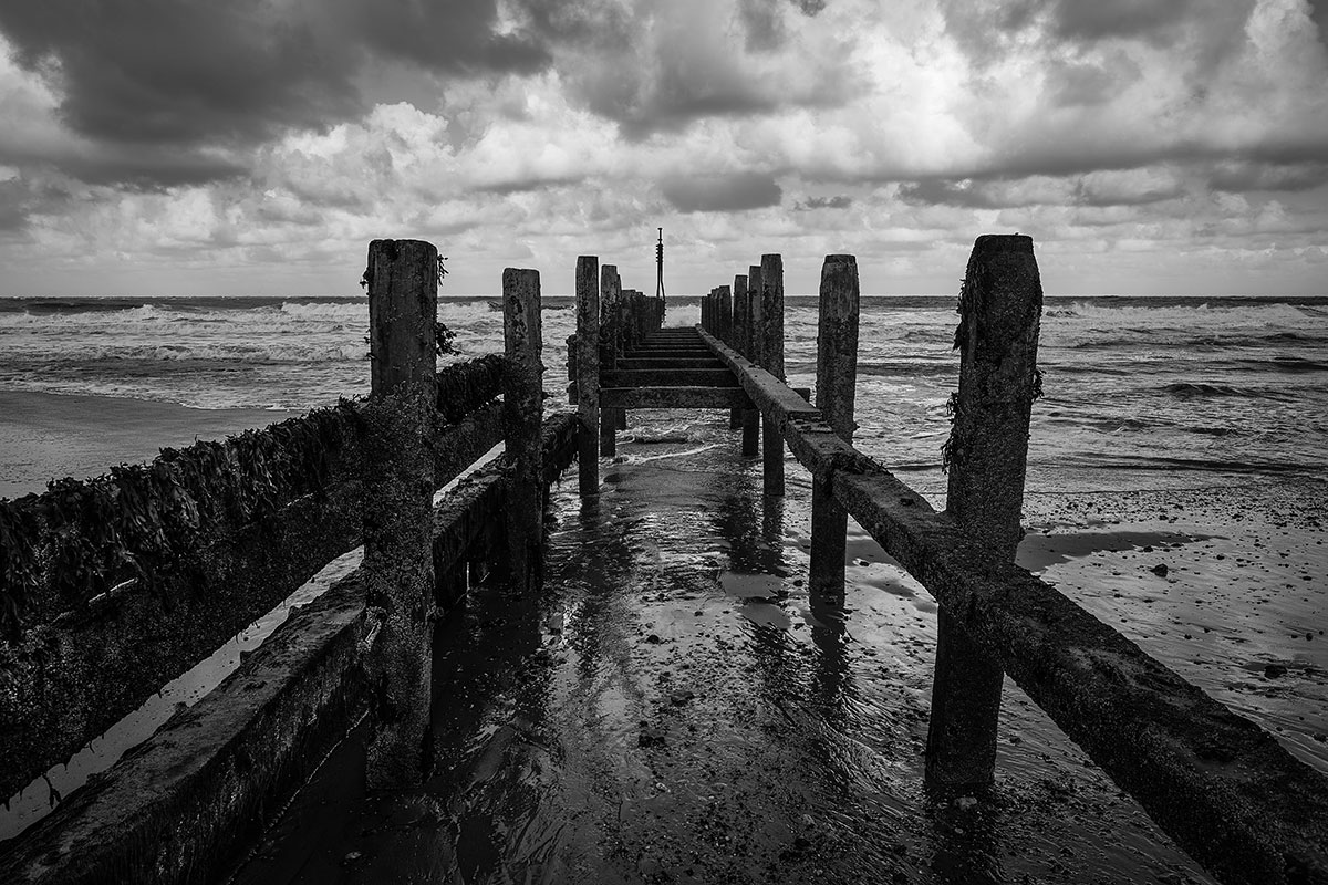 The life of a wooden groyne, 2016.