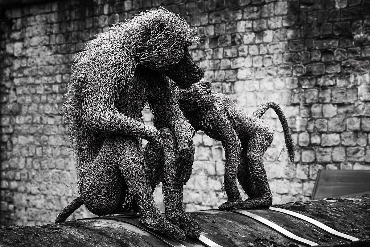 Wire baboons.