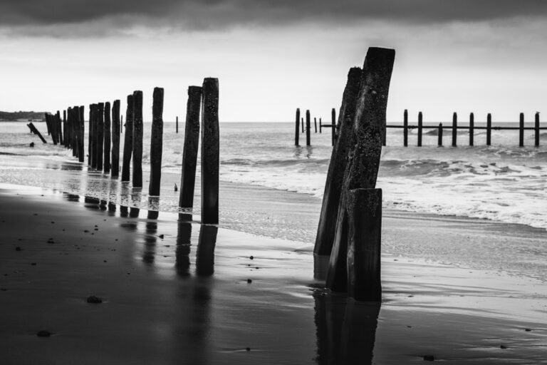 At the Coast, Norfolk.